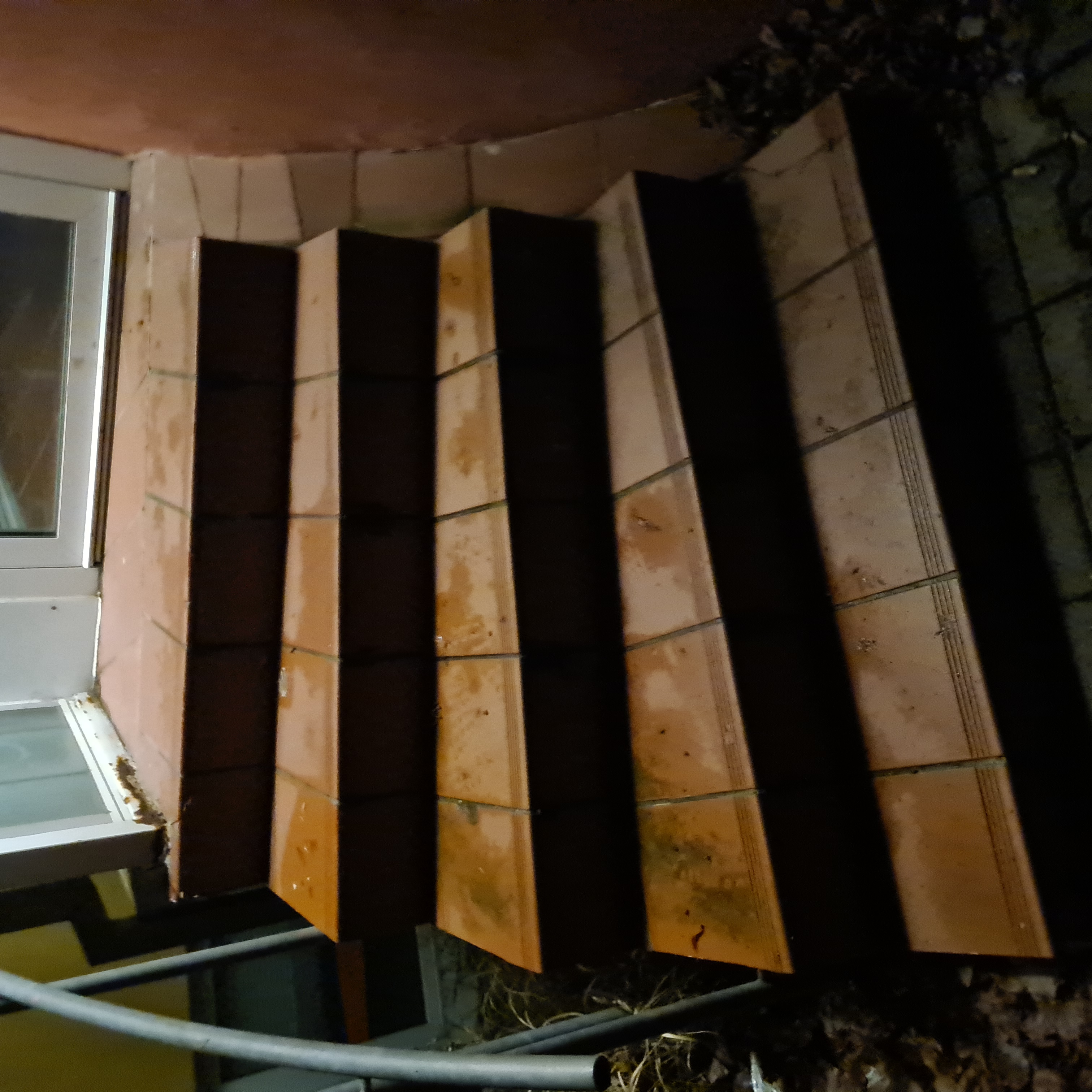 Fliesen Meier Projekt